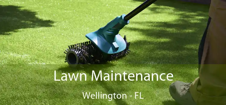 Lawn Maintenance Wellington - FL