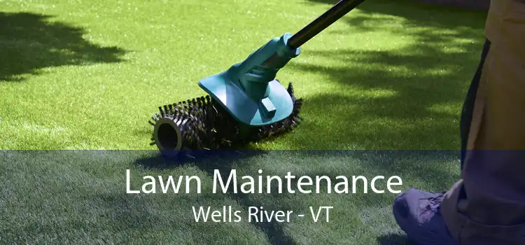 Lawn Maintenance Wells River - VT