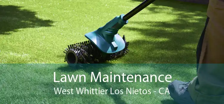 Lawn Maintenance West Whittier Los Nietos - CA