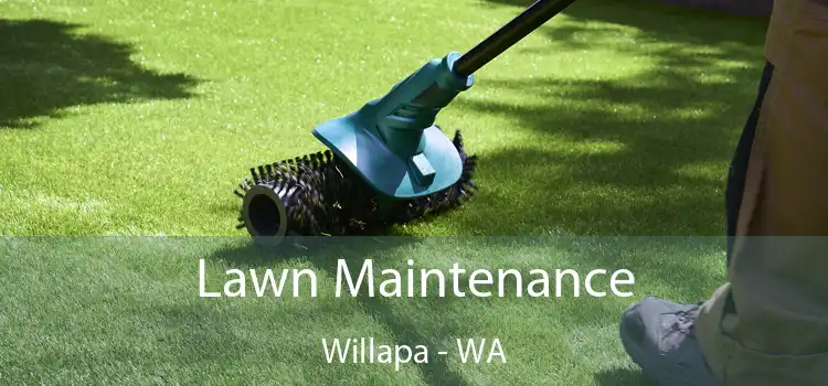 Lawn Maintenance Willapa - WA