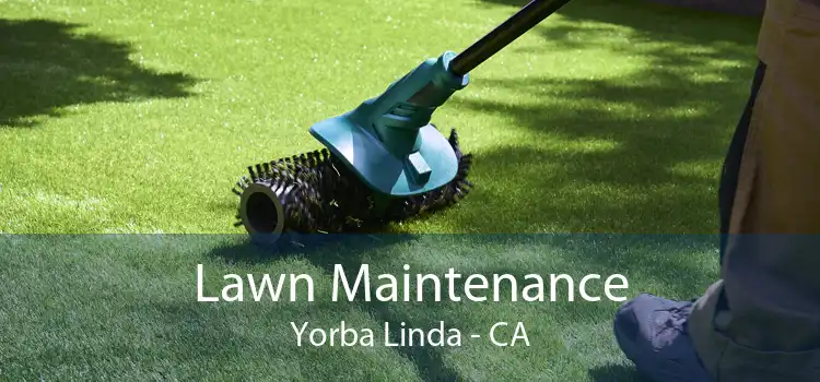 Lawn Maintenance Yorba Linda - CA
