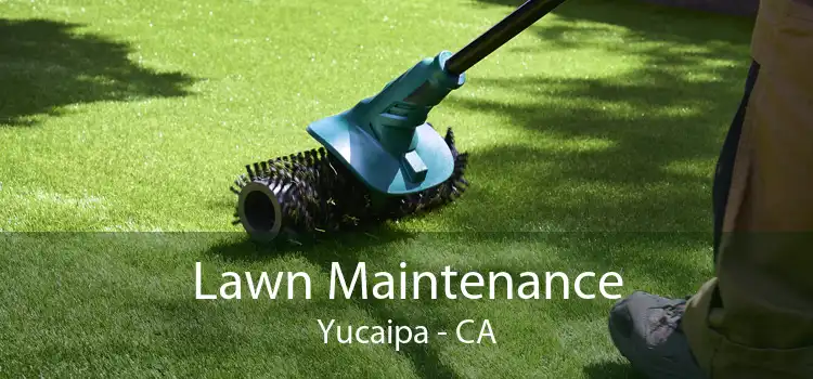 Lawn Maintenance Yucaipa - CA