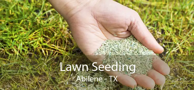 Lawn Seeding Abilene - TX