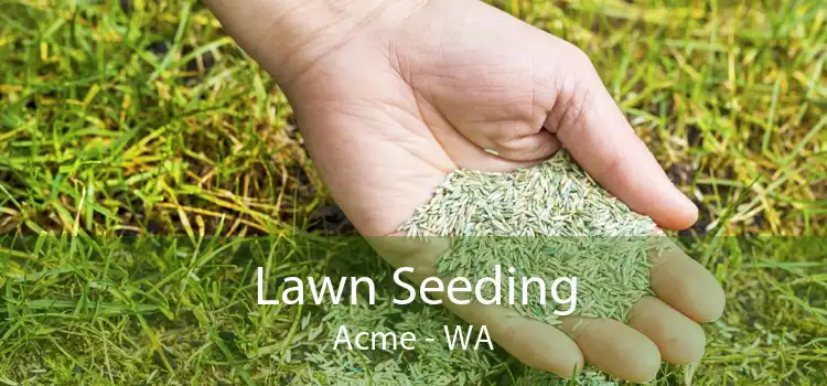 Lawn Seeding Acme - WA