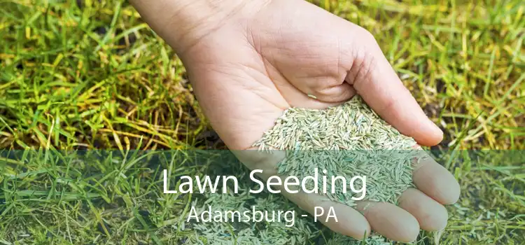 Lawn Seeding Adamsburg - PA