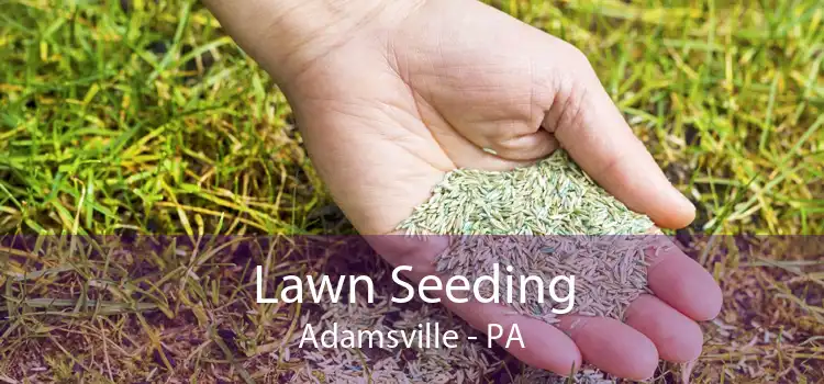 Lawn Seeding Adamsville - PA