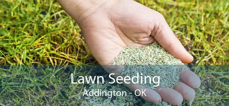 Lawn Seeding Addington - OK