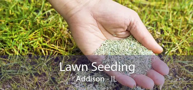 Lawn Seeding Addison - IL