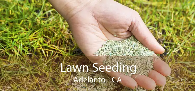 Lawn Seeding Adelanto - CA
