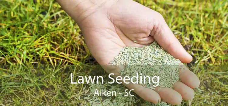 Lawn Seeding Aiken - SC
