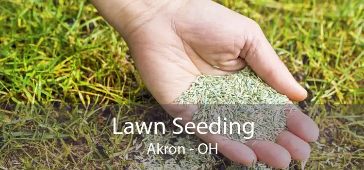 Lawn Seeding Akron - OH