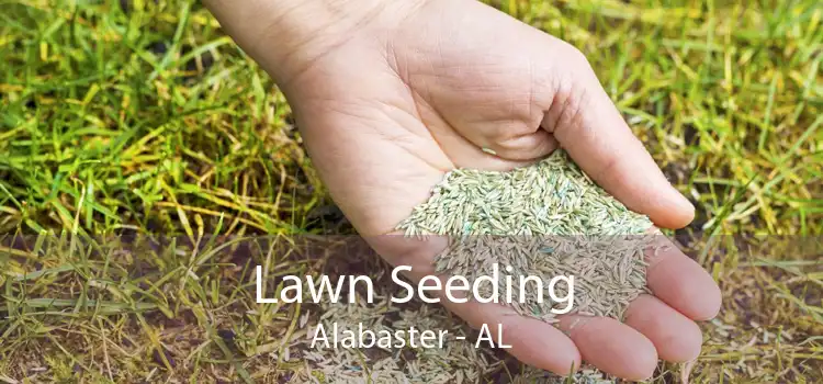 Lawn Seeding Alabaster - AL