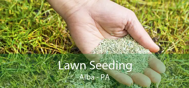 Lawn Seeding Alba - PA