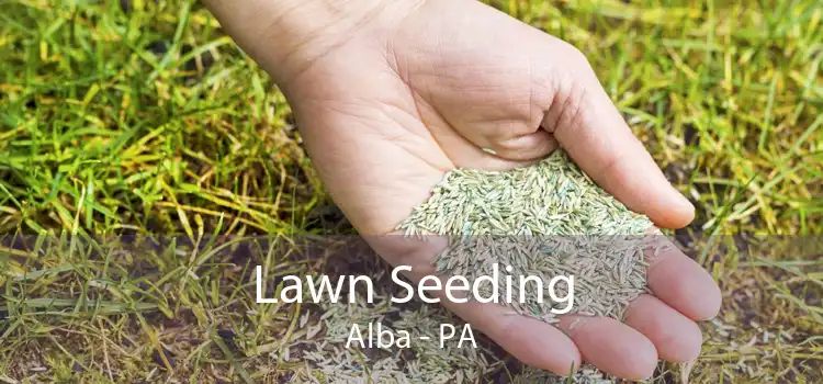  Lawn Seeding Alba - PA