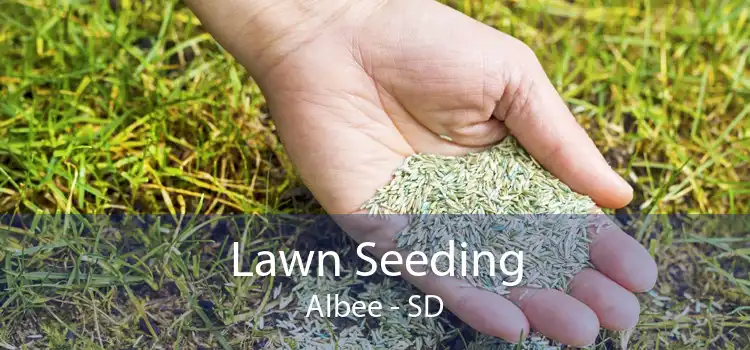 Lawn Seeding Albee - SD