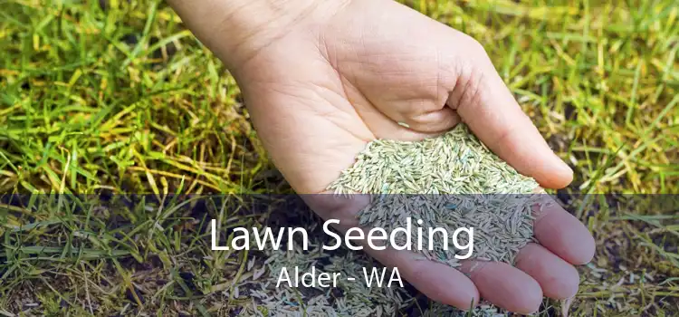 Lawn Seeding Alder - WA