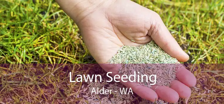  Lawn Seeding Alder - WA