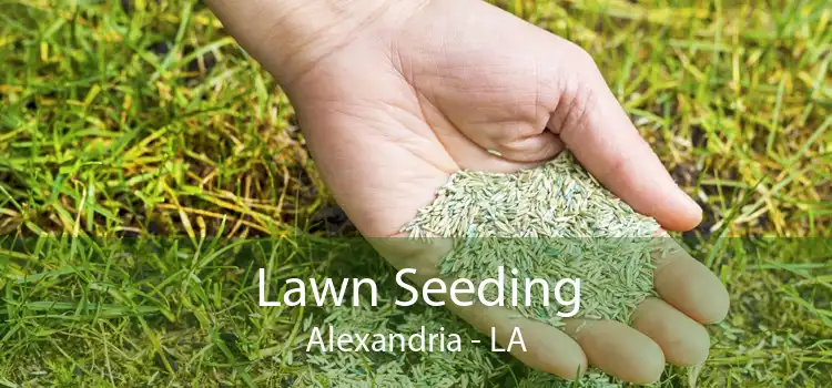 Lawn Seeding Alexandria - LA