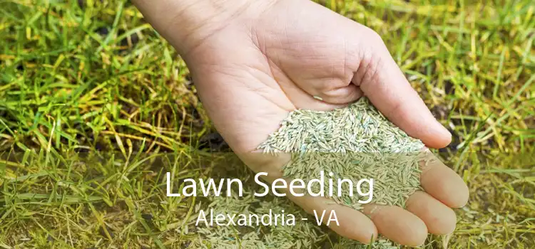 Lawn Seeding Alexandria - VA