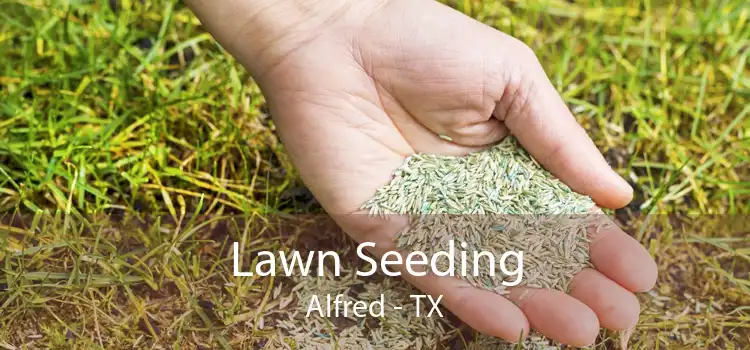 Lawn Seeding Alfred - TX