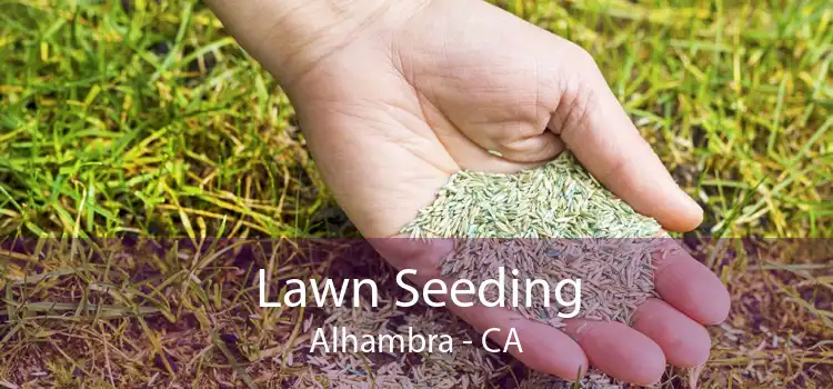 Lawn Seeding Alhambra - CA