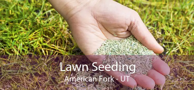 Lawn Seeding American Fork - UT