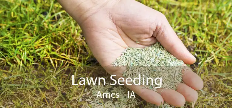  Lawn Seeding Ames - IA