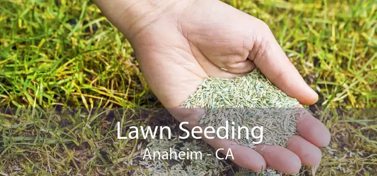 Lawn Seeding Anaheim - CA