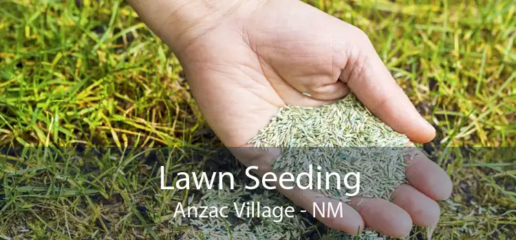 Lawn Seeding Anzac Village - NM