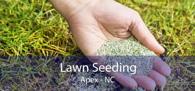 Lawn Seeding Apex - NC
