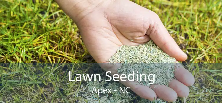 Lawn Seeding Apex - NC