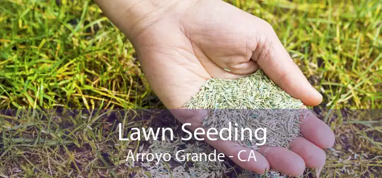 Lawn Seeding Arroyo Grande - CA
