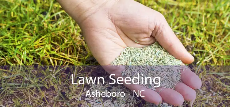 Lawn Seeding Asheboro - NC