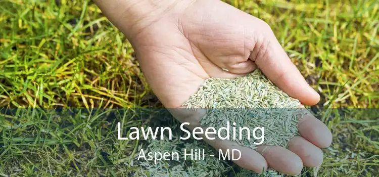 Lawn Seeding Aspen Hill - MD