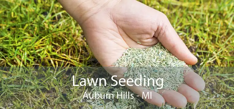 Lawn Seeding Auburn Hills - MI