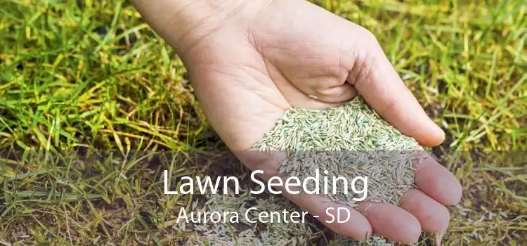 Lawn Seeding Aurora Center - SD
