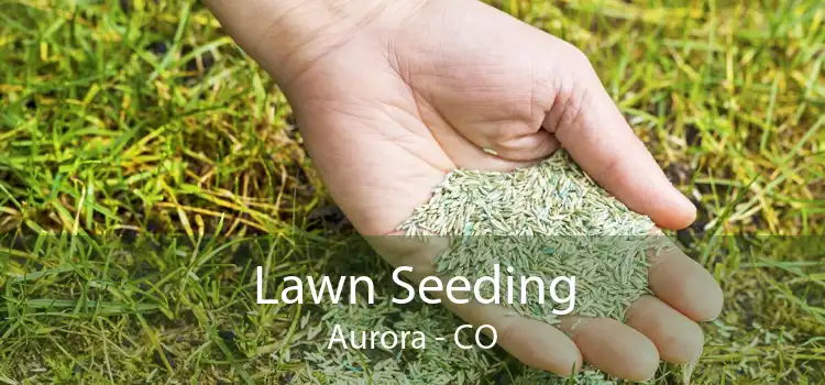  Lawn Seeding Aurora - CO