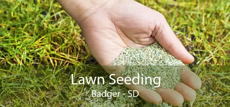 Lawn Seeding Badger - SD