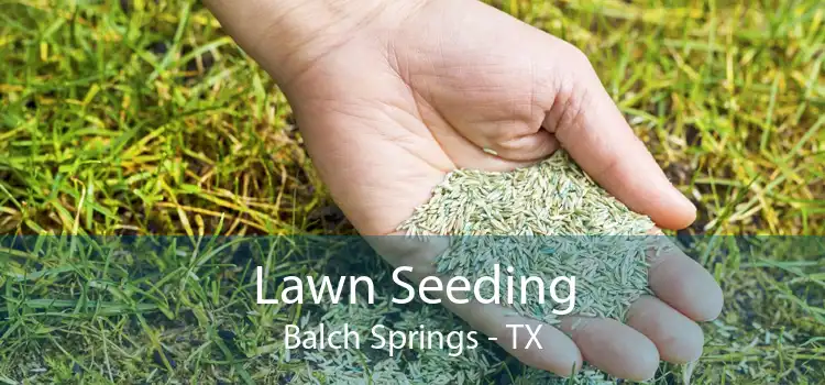 Lawn Seeding Balch Springs - TX
