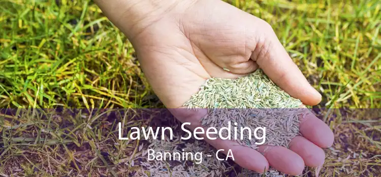 Lawn Seeding Banning - CA