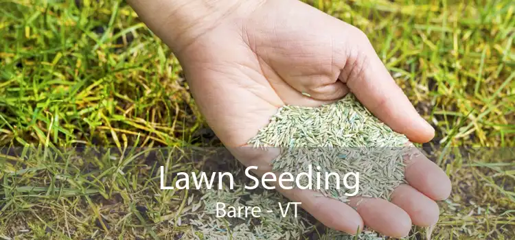 Lawn Seeding Barre - VT