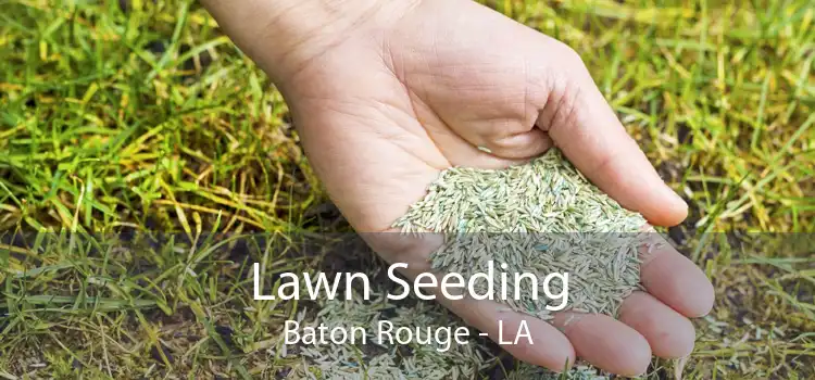 Lawn Seeding Baton Rouge - LA