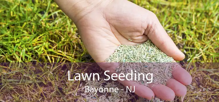 Lawn Seeding Bayonne - NJ