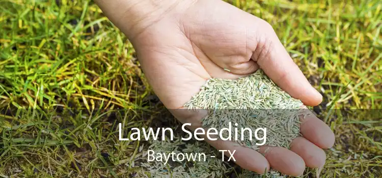 Lawn Seeding Baytown - TX