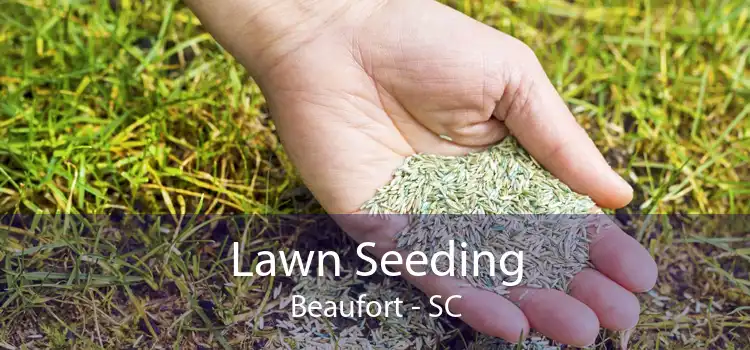 Lawn Seeding Beaufort - SC