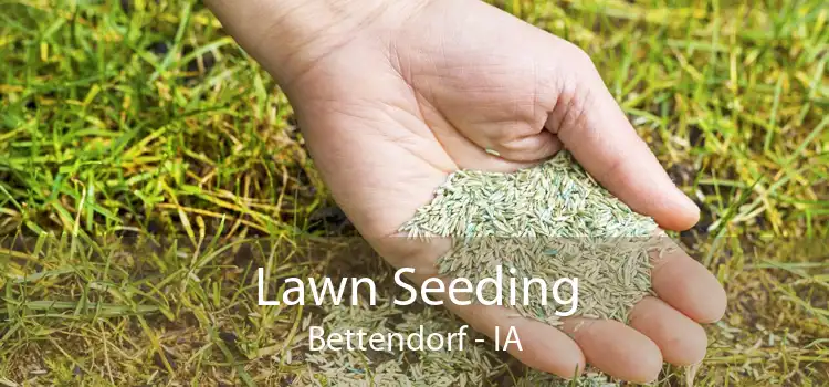 Lawn Seeding Bettendorf - IA