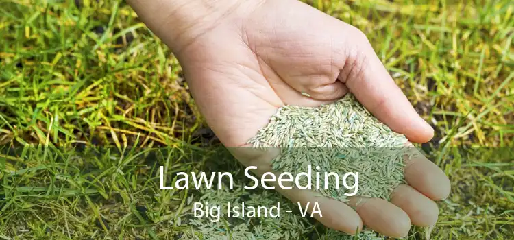 Lawn Seeding Big Island - VA