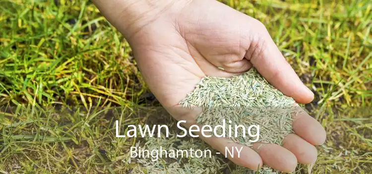 Lawn Seeding Binghamton - NY