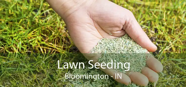 Lawn Seeding Bloomington - IN