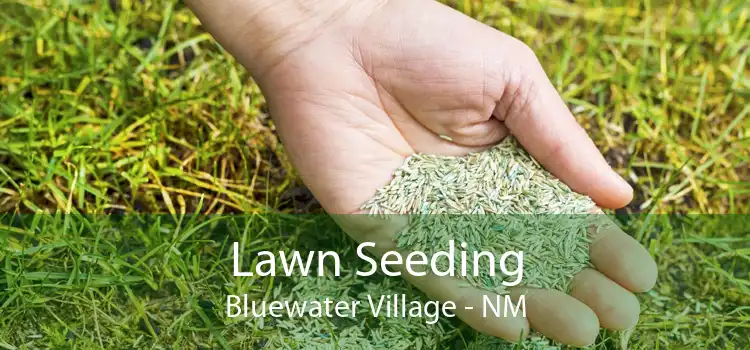 Lawn Seeding Bluewater Village - NM
